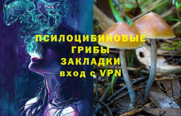 apvp Алзамай