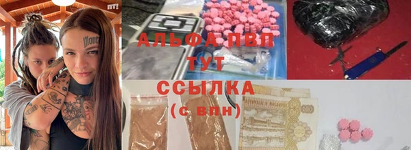 apvp Алзамай